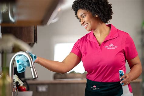 molly maid tampa|cleaning services tampa.dtlocallw.com.